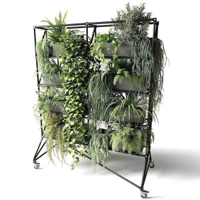 植物盆栽 植物架
